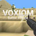 Voxiom.io